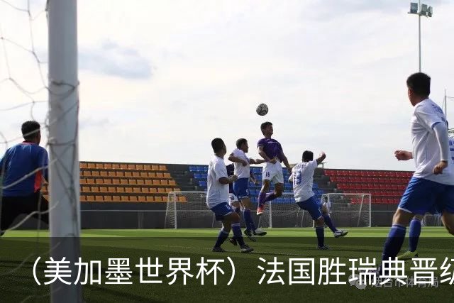 （美加墨世界杯）法国胜瑞典晋级16强 姆巴佩“双响”创纪录